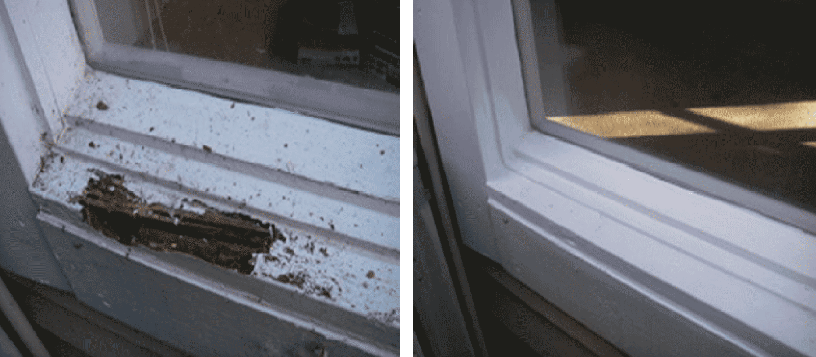 wood rot repair overland park ks